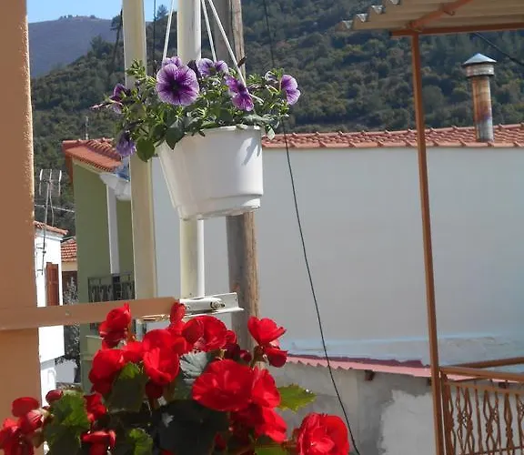 Apartamento Eveline House *